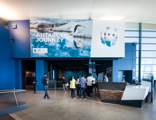 The Nobbies Visitor Centre, Melbourne, VIC