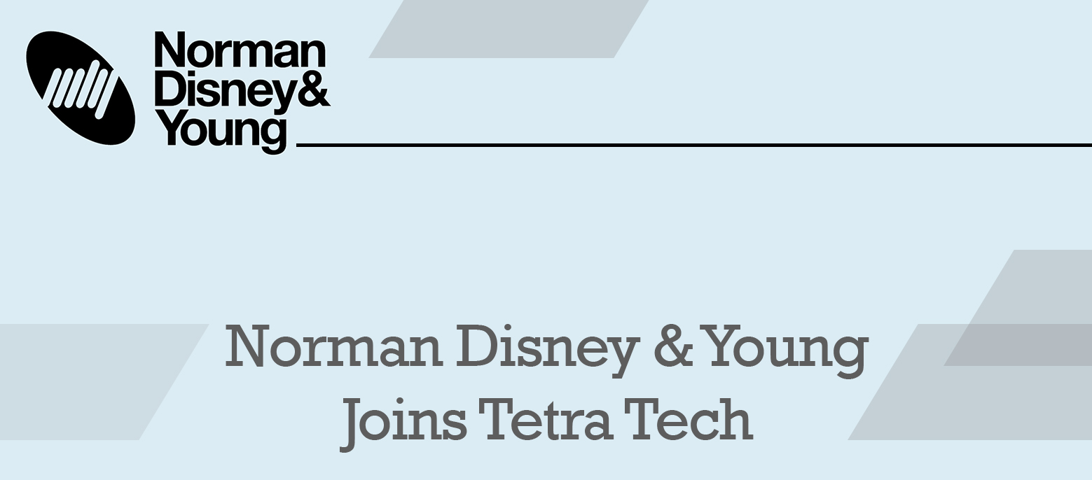 norman disney and young malaysia