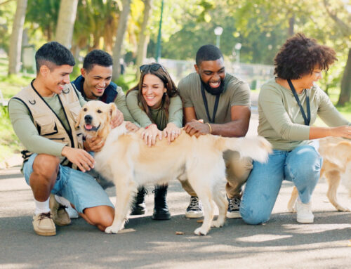 Sydney Dogs and Cats Home, Kurnell, NSW